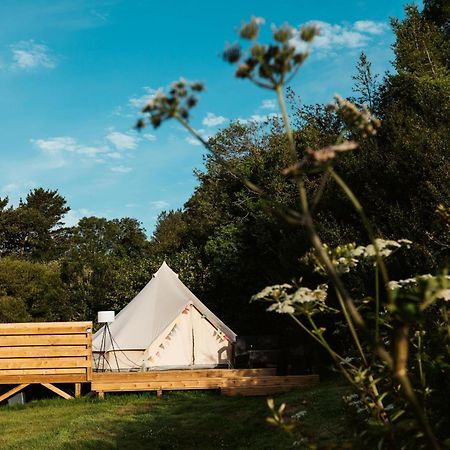 Willow Valley Glamping バッド エクステリア 写真