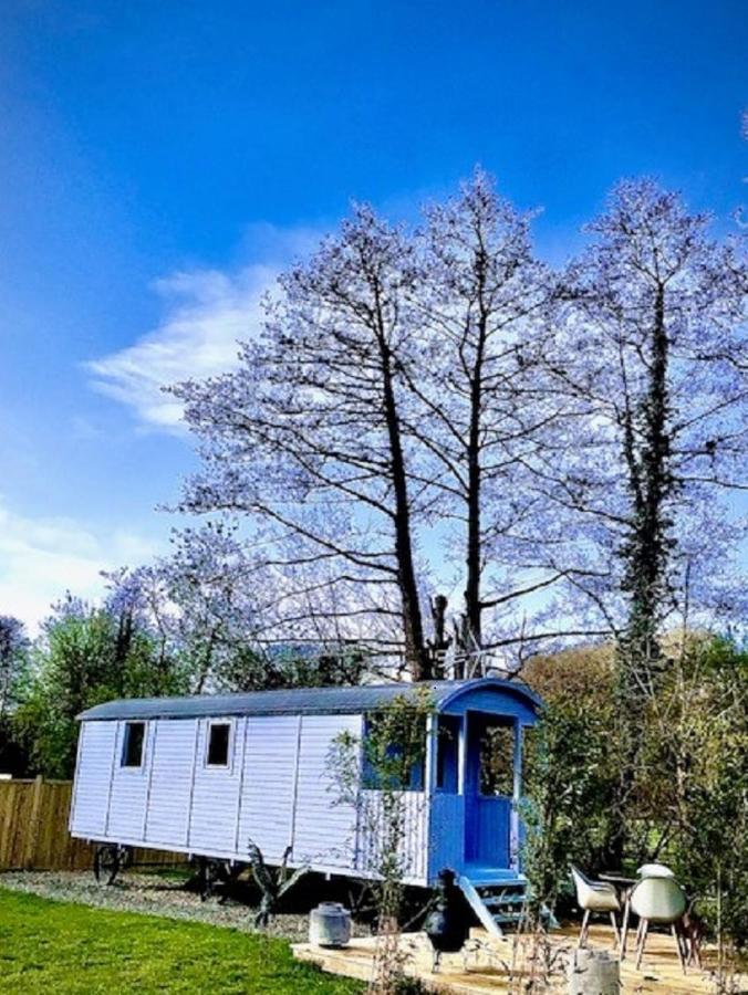 Willow Valley Glamping バッド エクステリア 写真